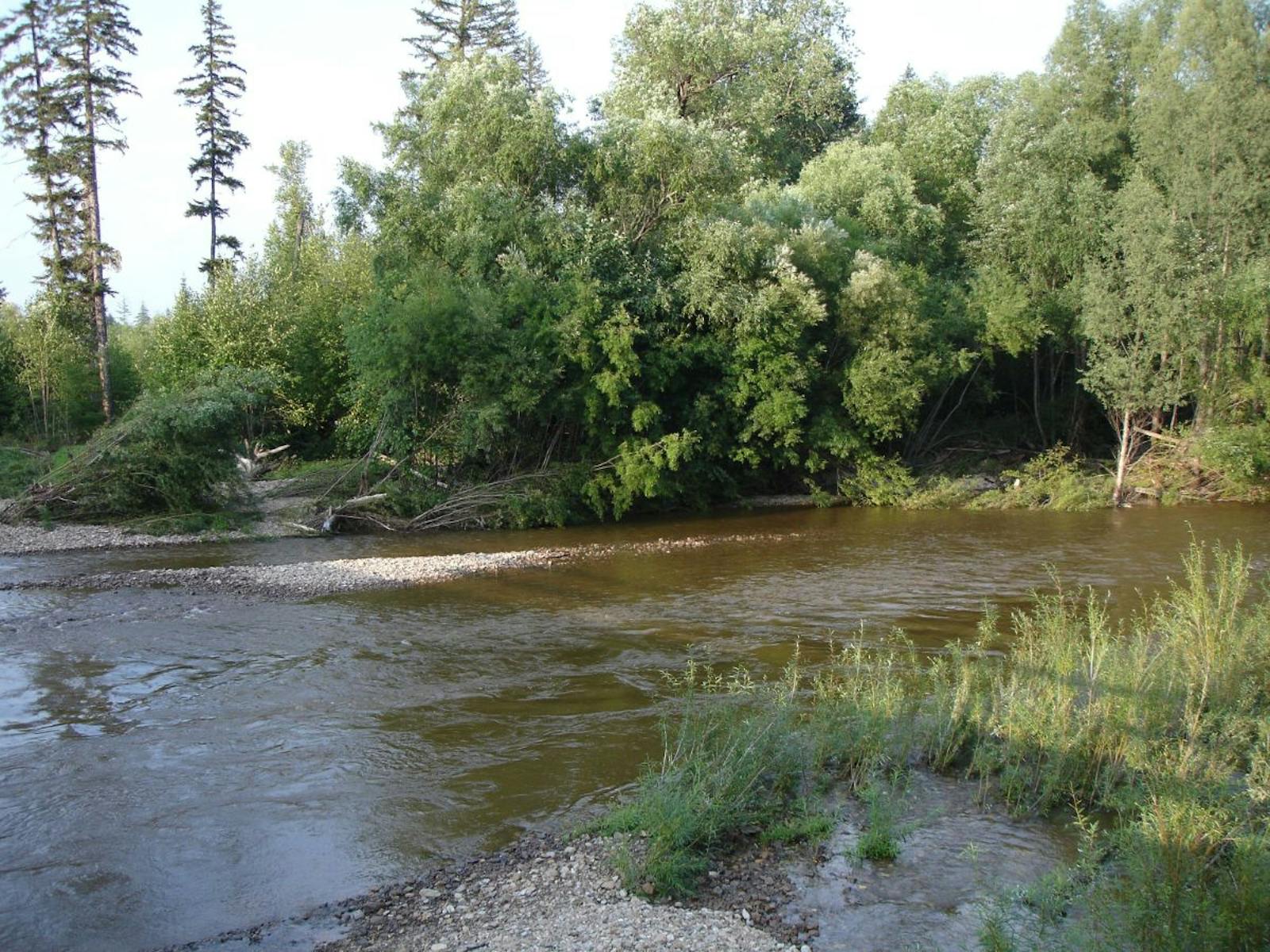 East Siberian Taiga